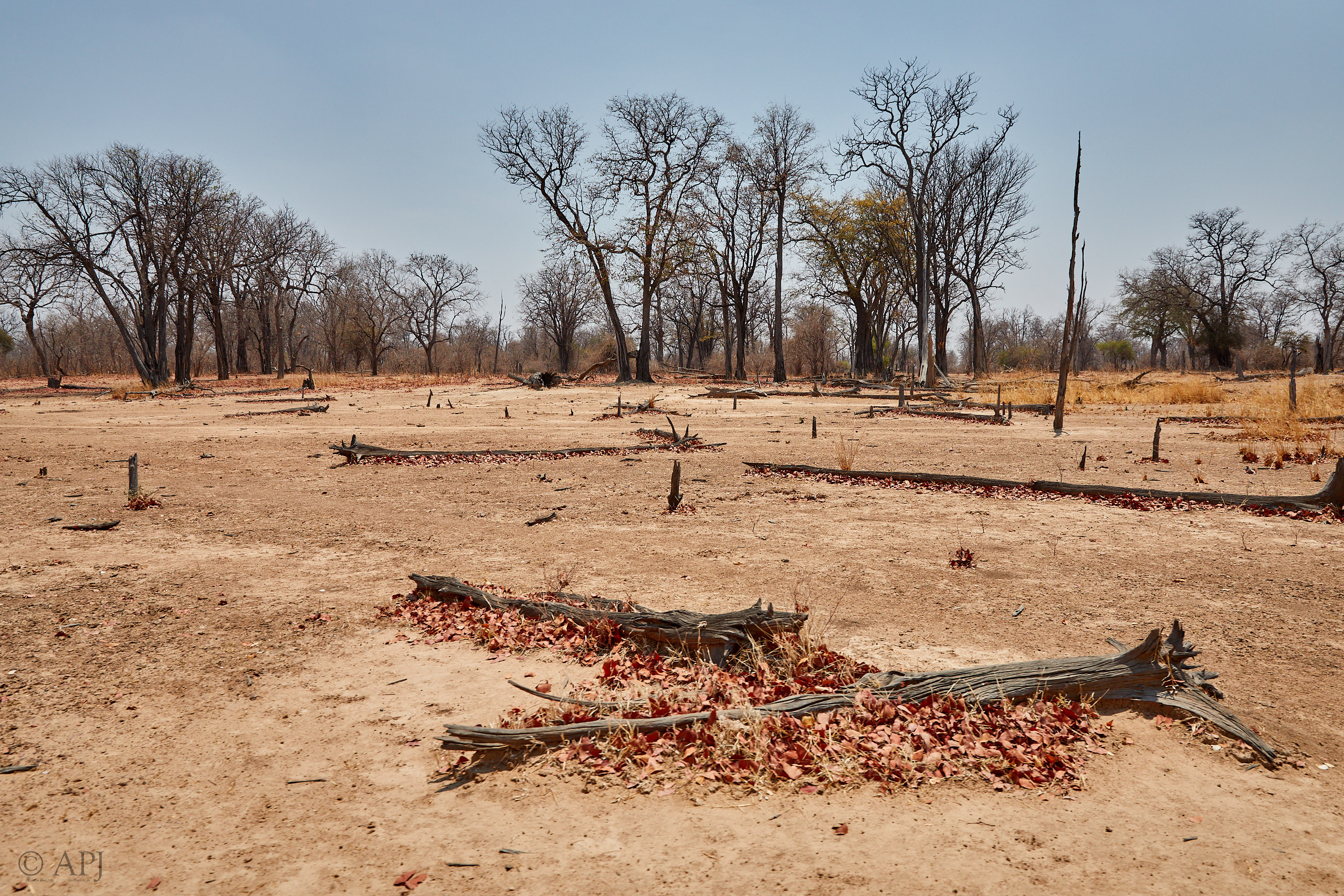 00263 APJ Sambia Malawi 2018 02135