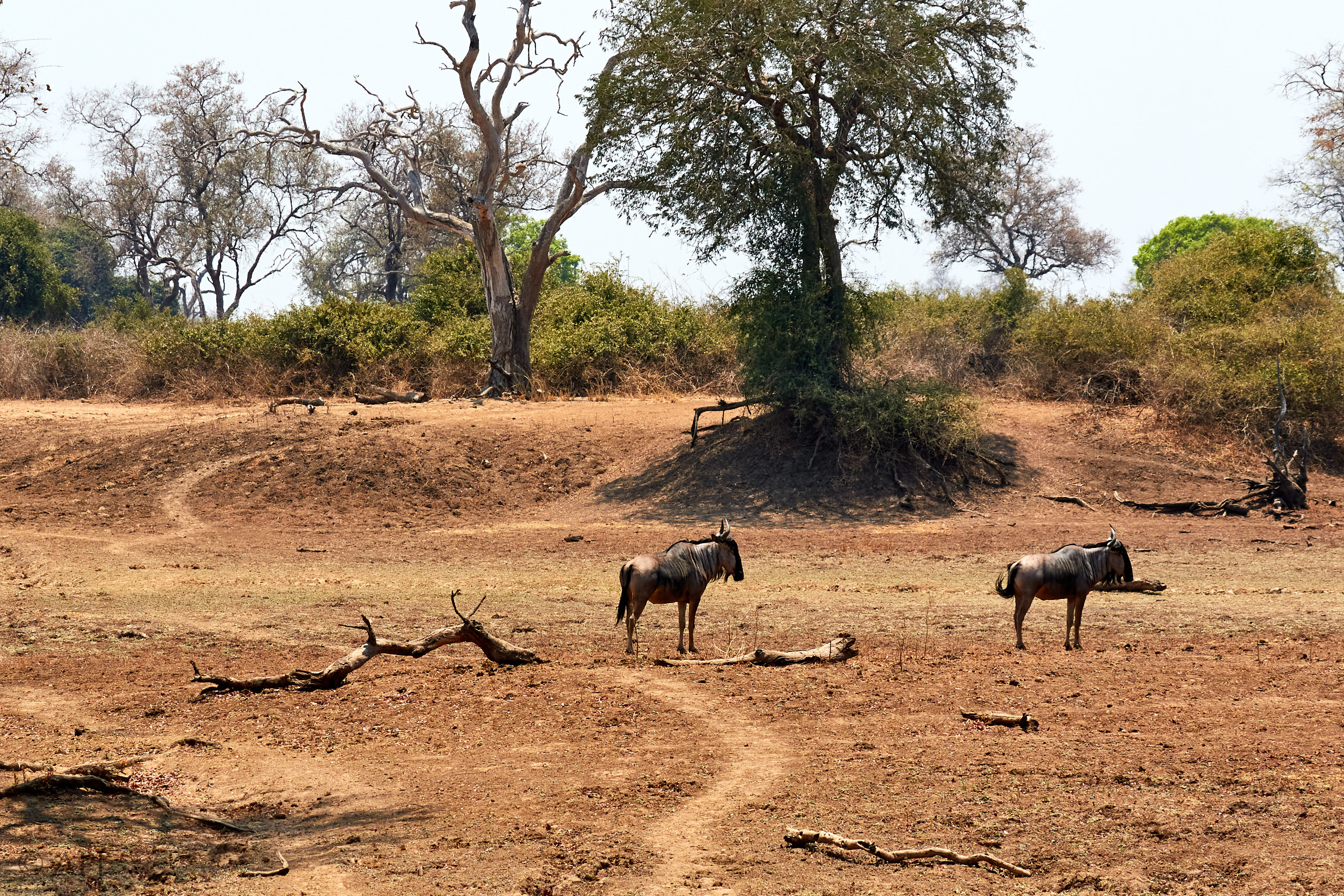 00272 APJ Sambia Malawi 2018 02244