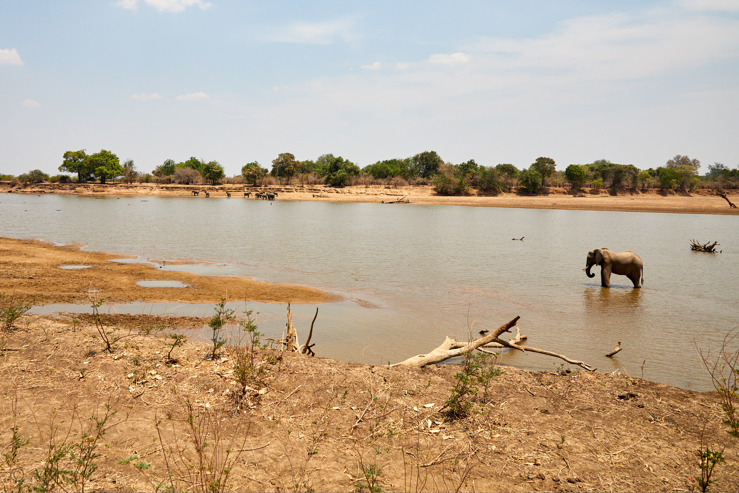 00274 APJ Sambia Malawi 2018 02266