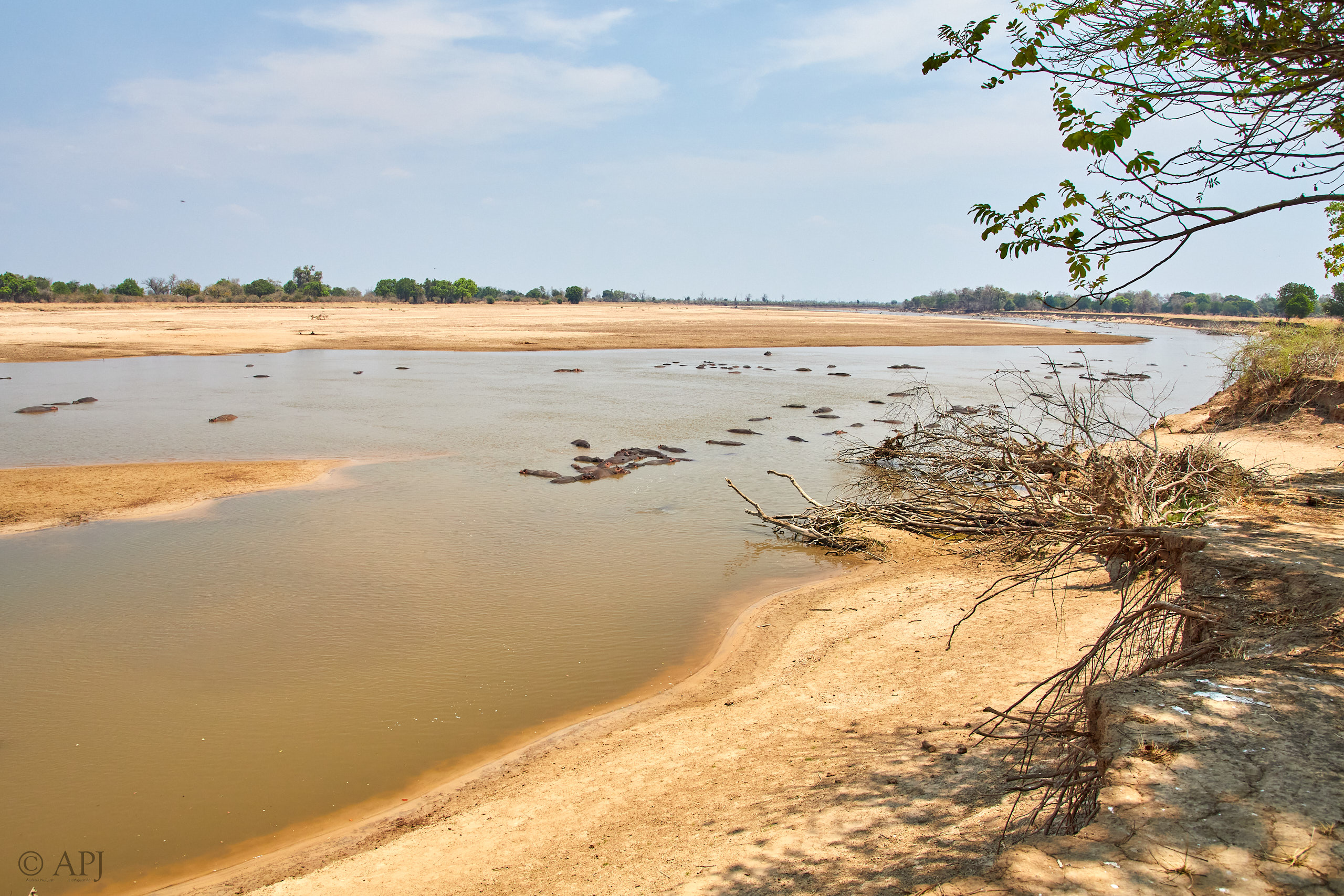 00276 APJ Sambia Malawi 2018 02282