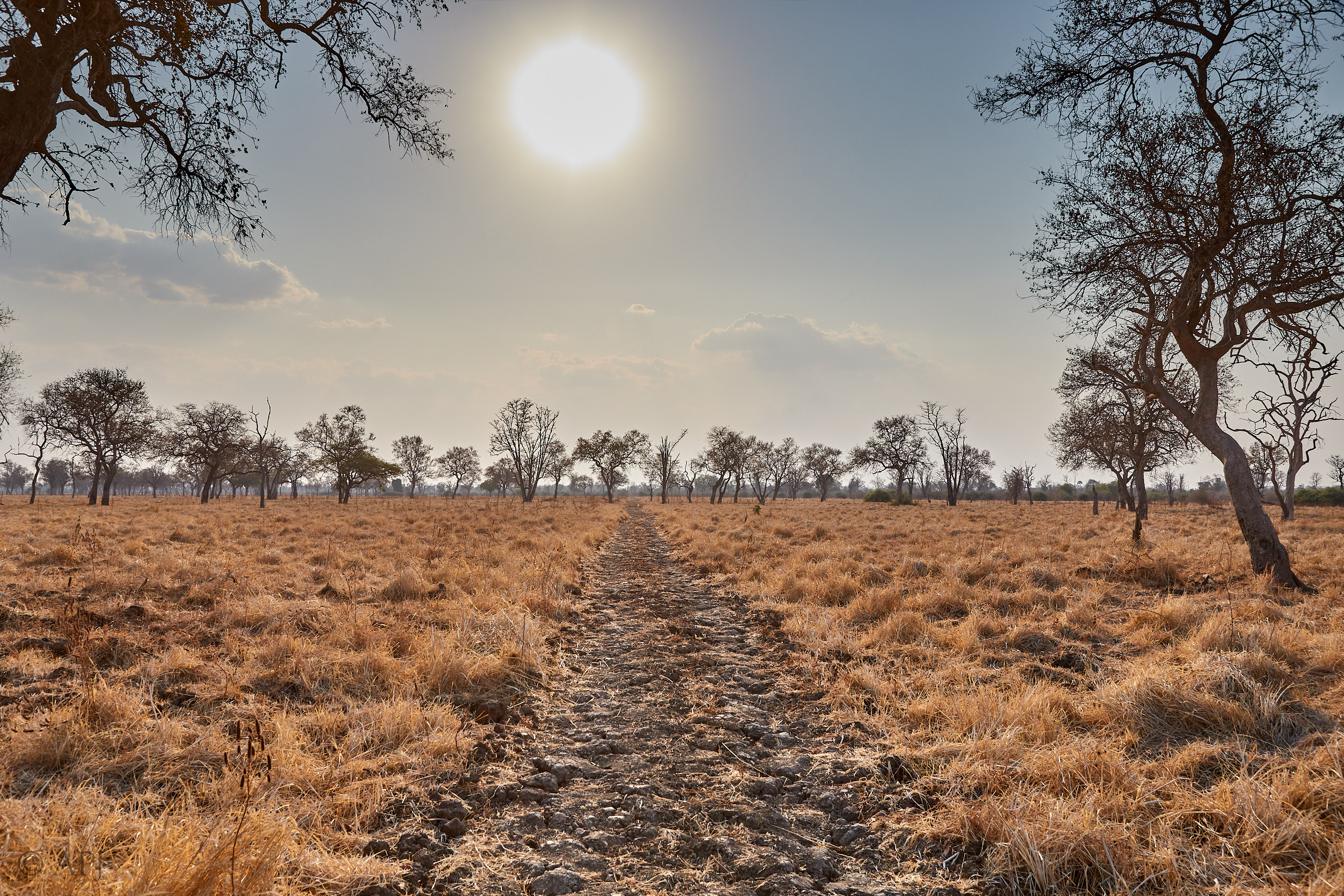 00291 APJ Sambia Malawi 2018 02375