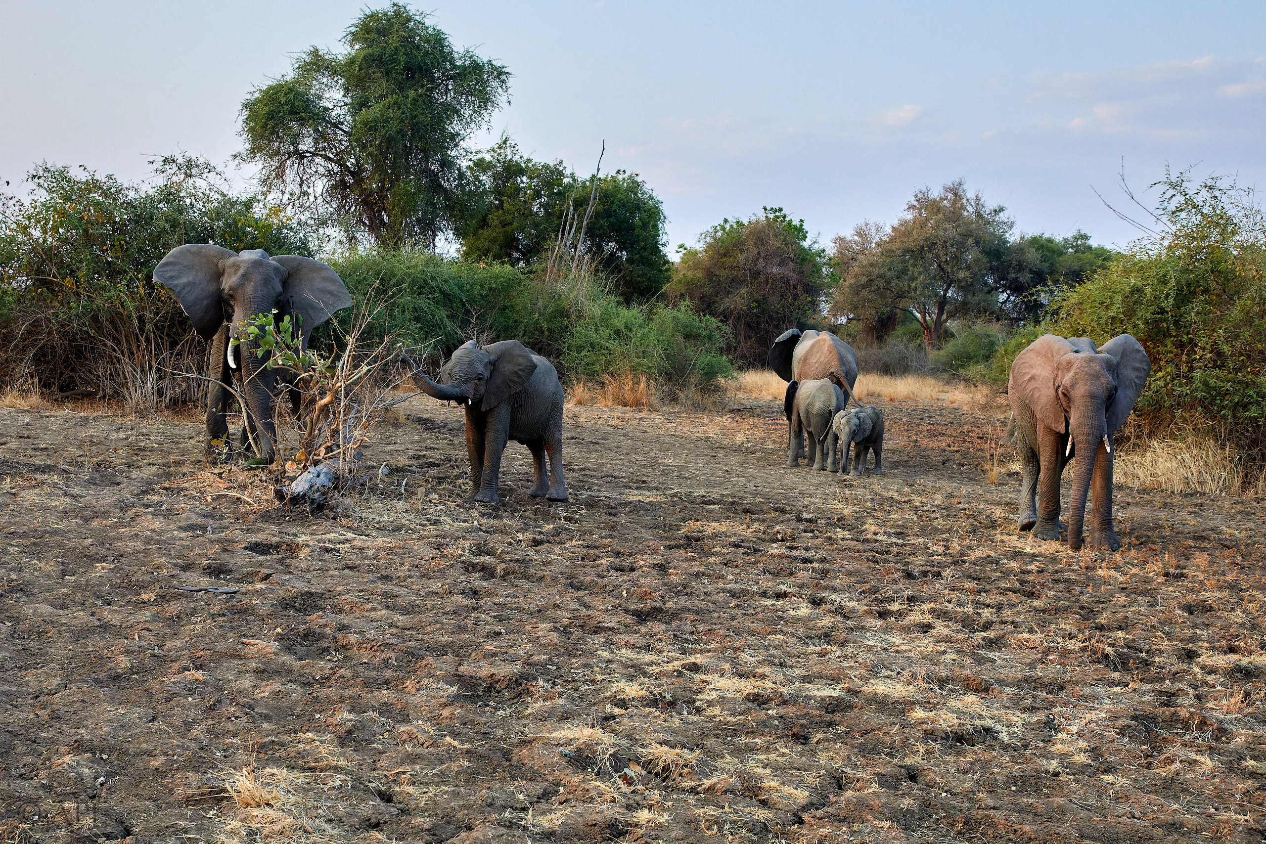 00298 APJ Sambia Malawi 2018 02416