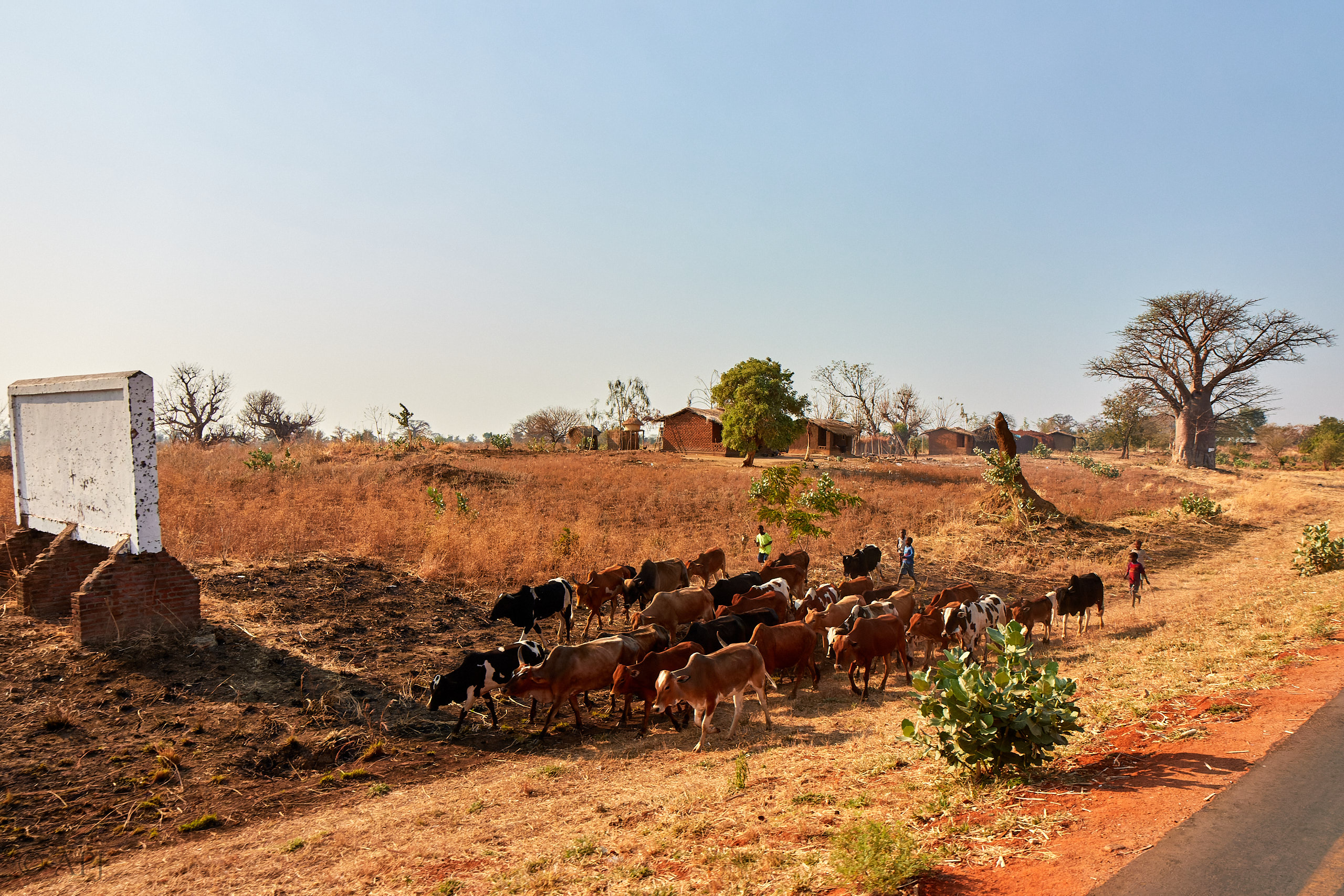 00328 APJ Sambia Malawi 2018 02702 D