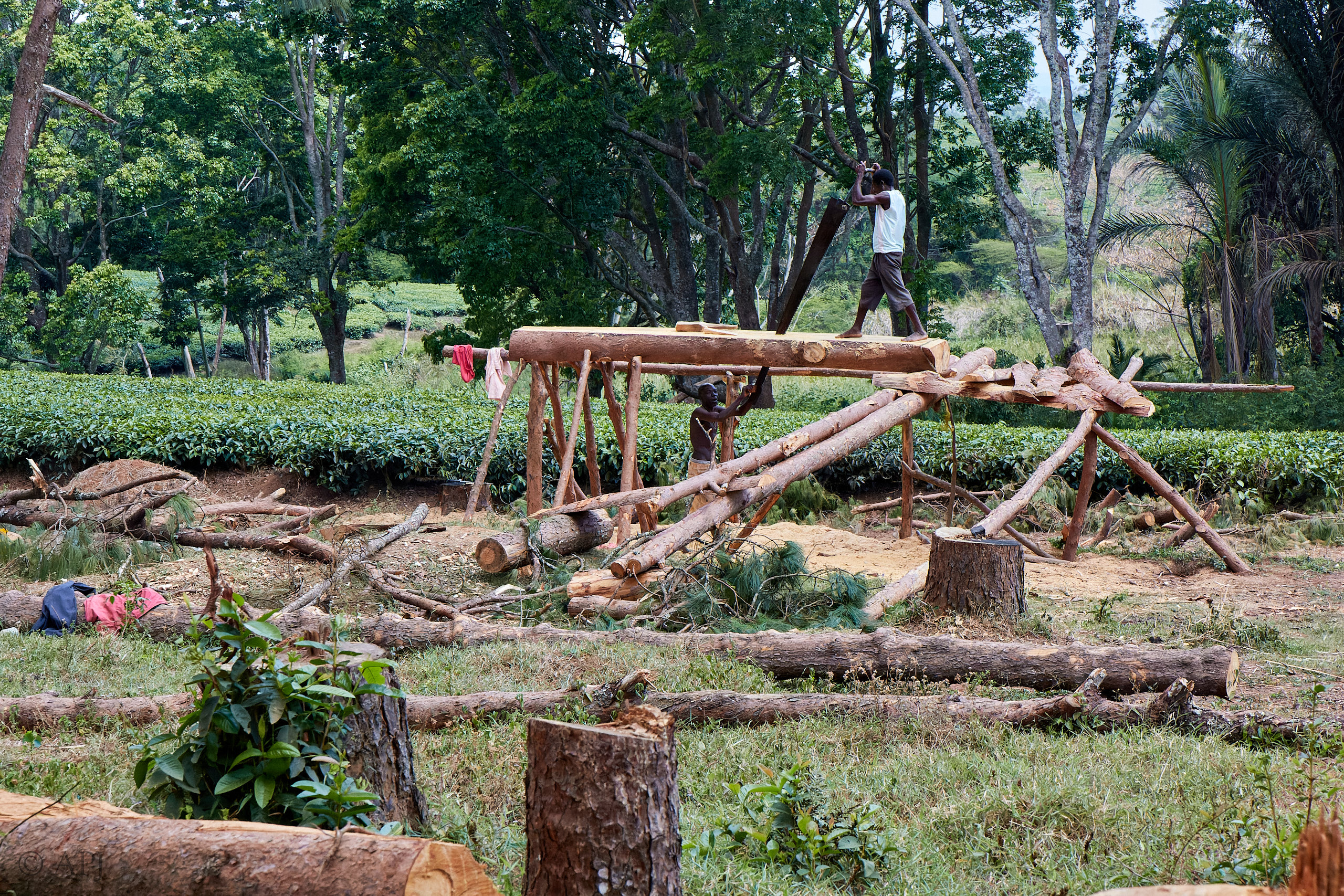 00345 APJ Sambia Malawi 2018 02824 D