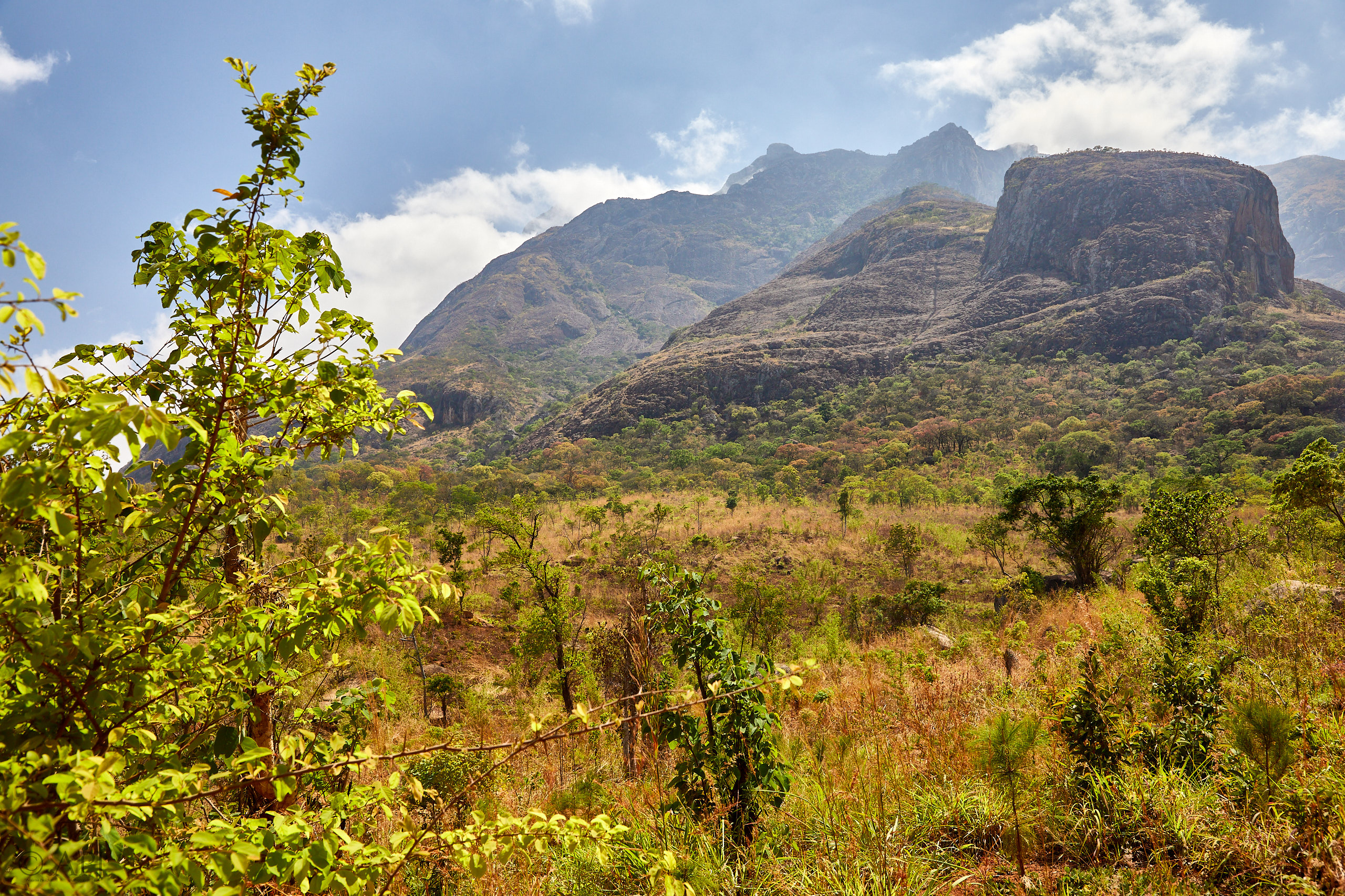 00370 APJ Sambia Malawi 2018 02928