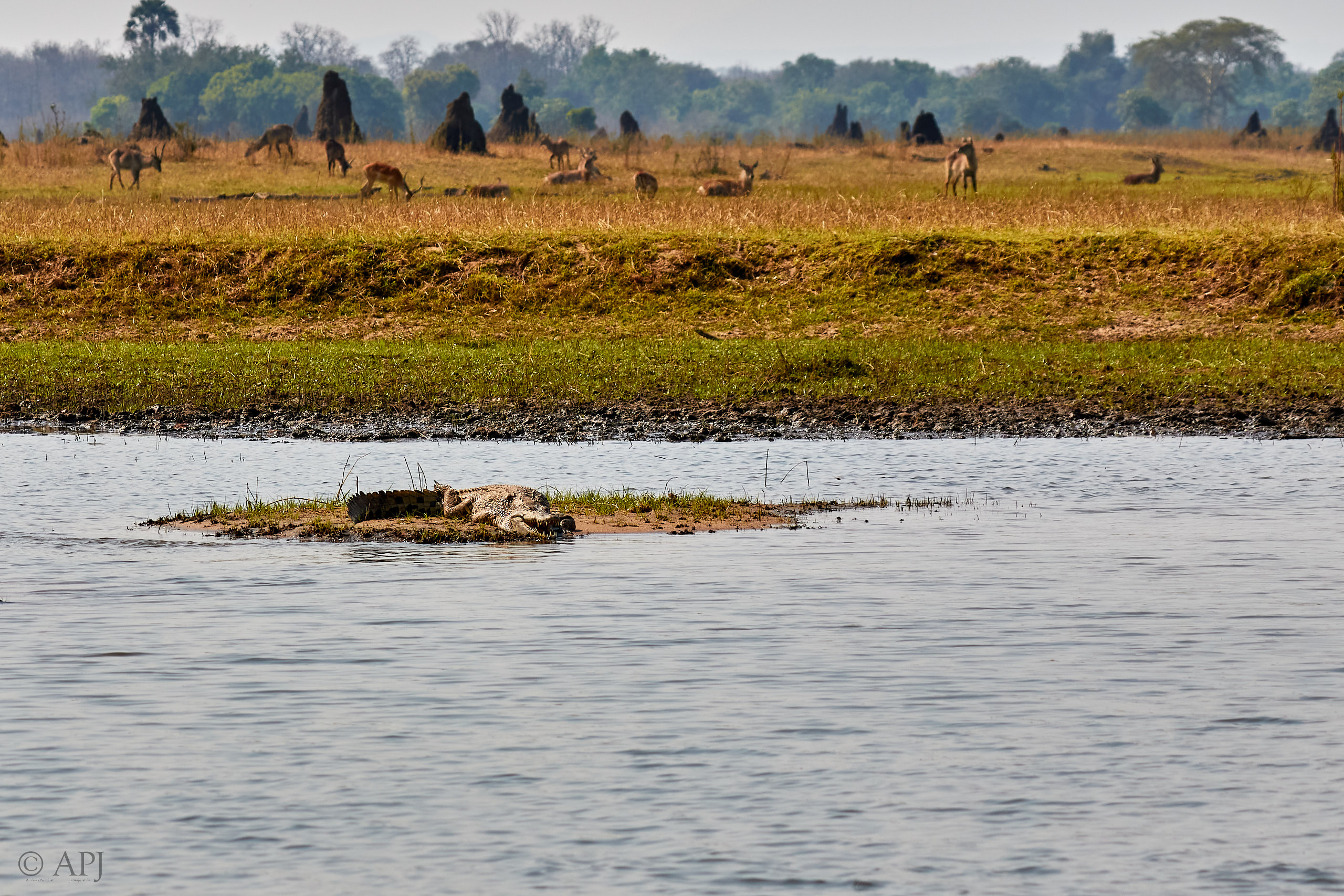 00433 APJ Sambia Malawi 2018 03303