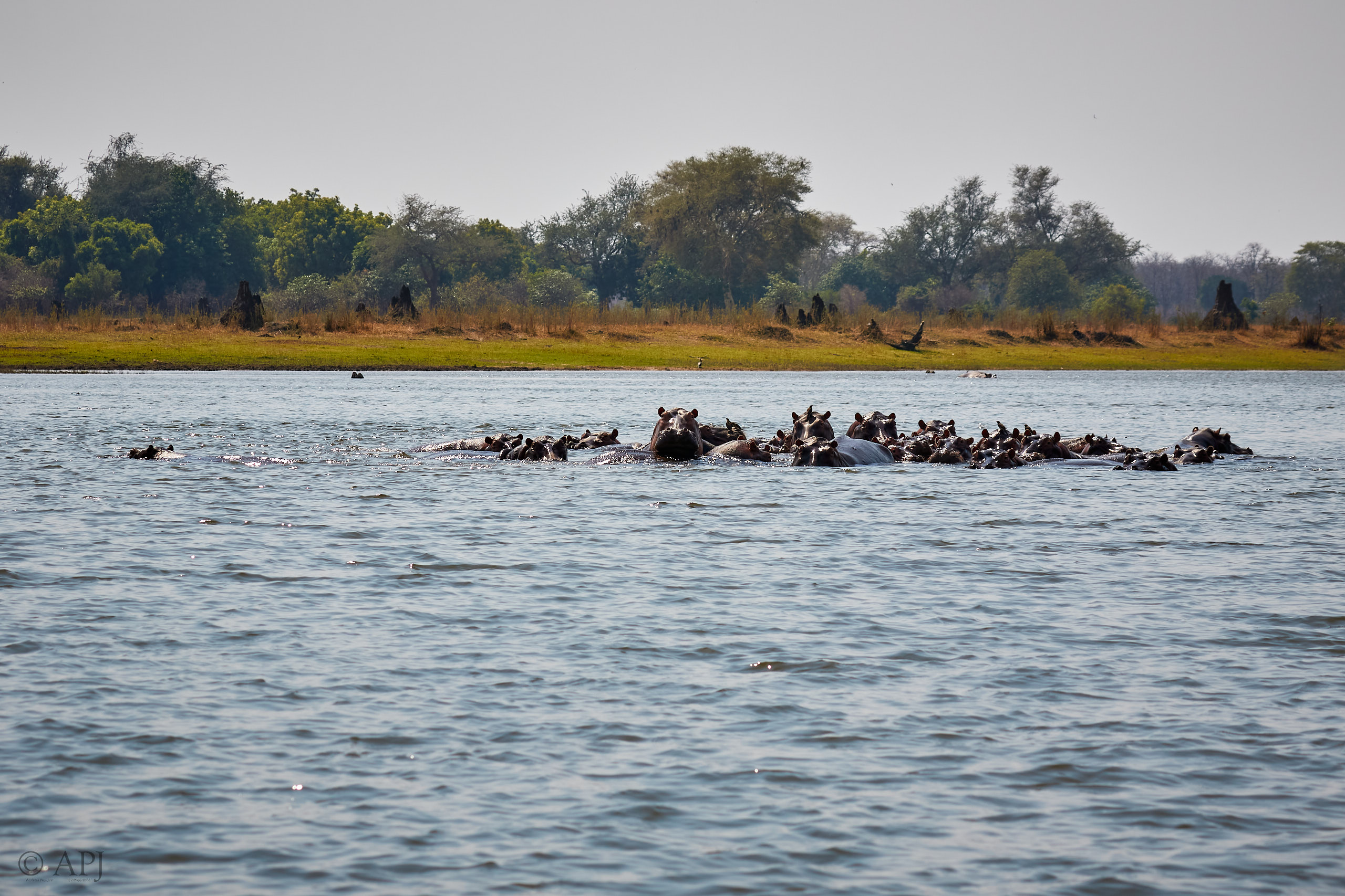 00460 APJ Sambia Malawi 2018 03648