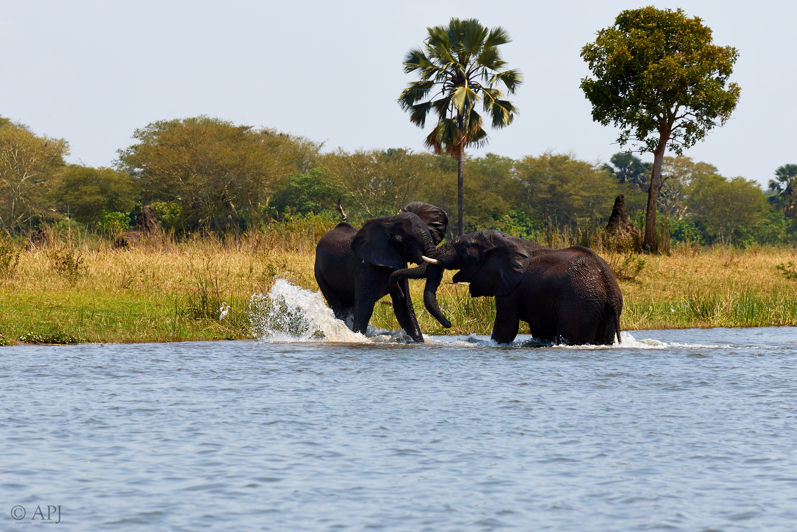 00465 APJ Sambia Malawi 2018 03758