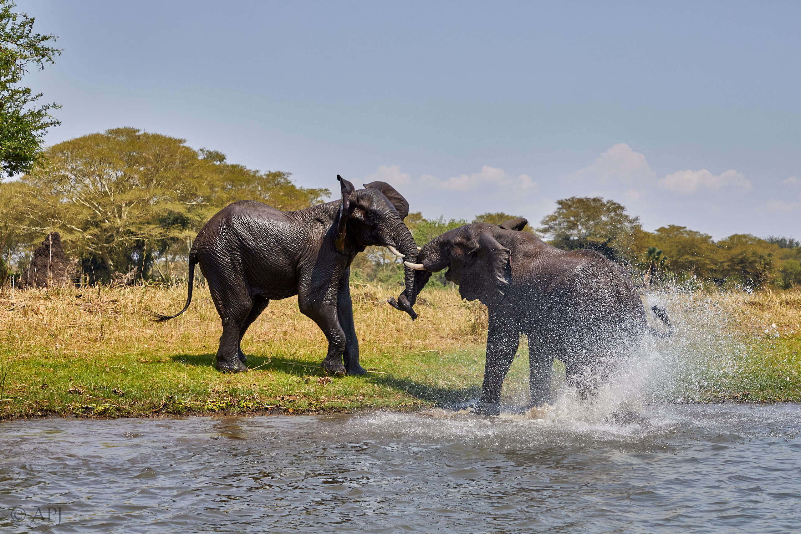 00469 APJ Sambia Malawi 2018 03828