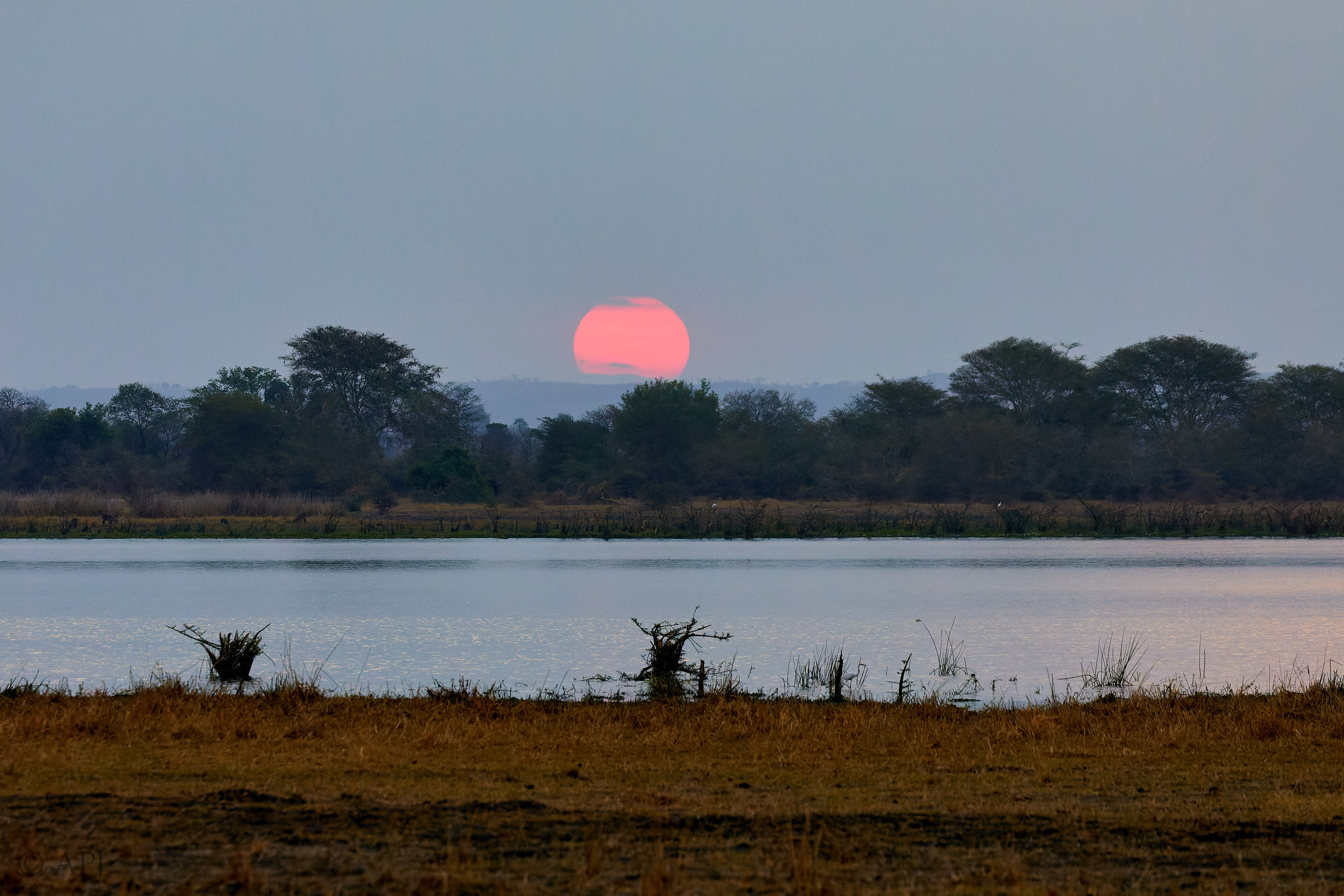 00481 APJ Sambia Malawi 2018 03925 D