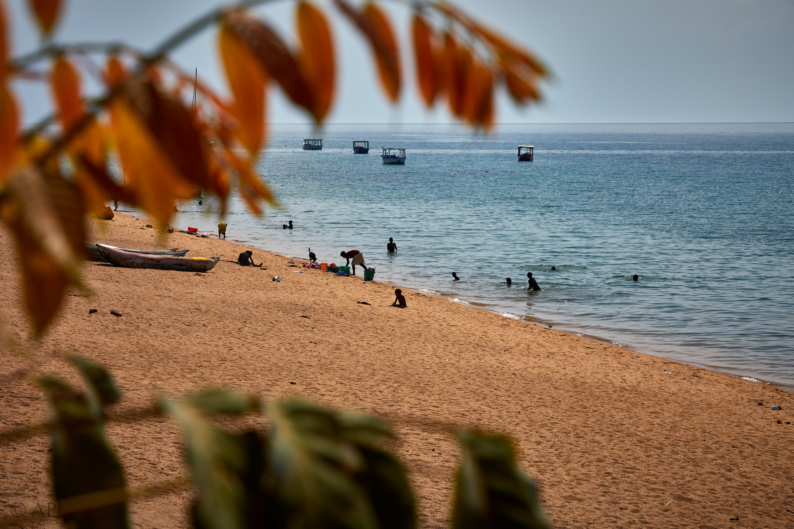 00499 APJ Sambia Malawi 2018 04109