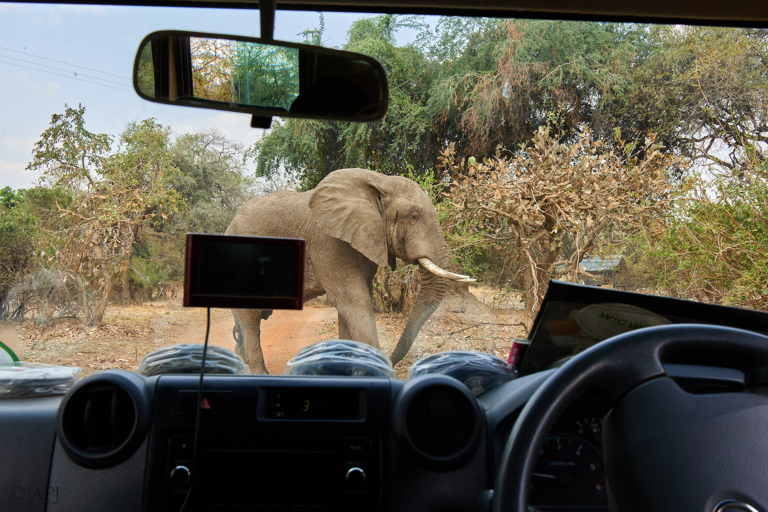 00056 APJ IMG 1038 CR3D