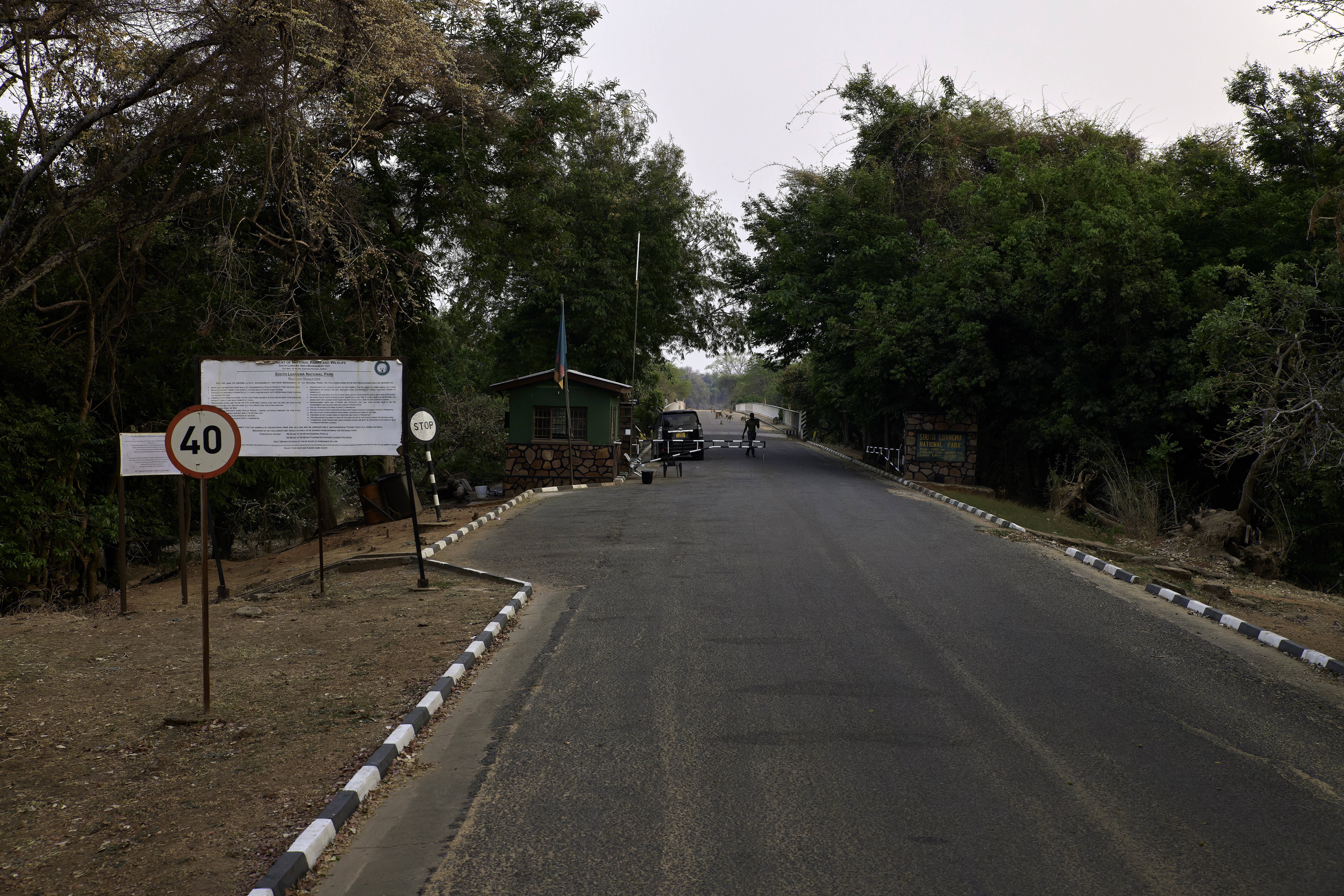 00060 APJ  A7A7041 CR3D