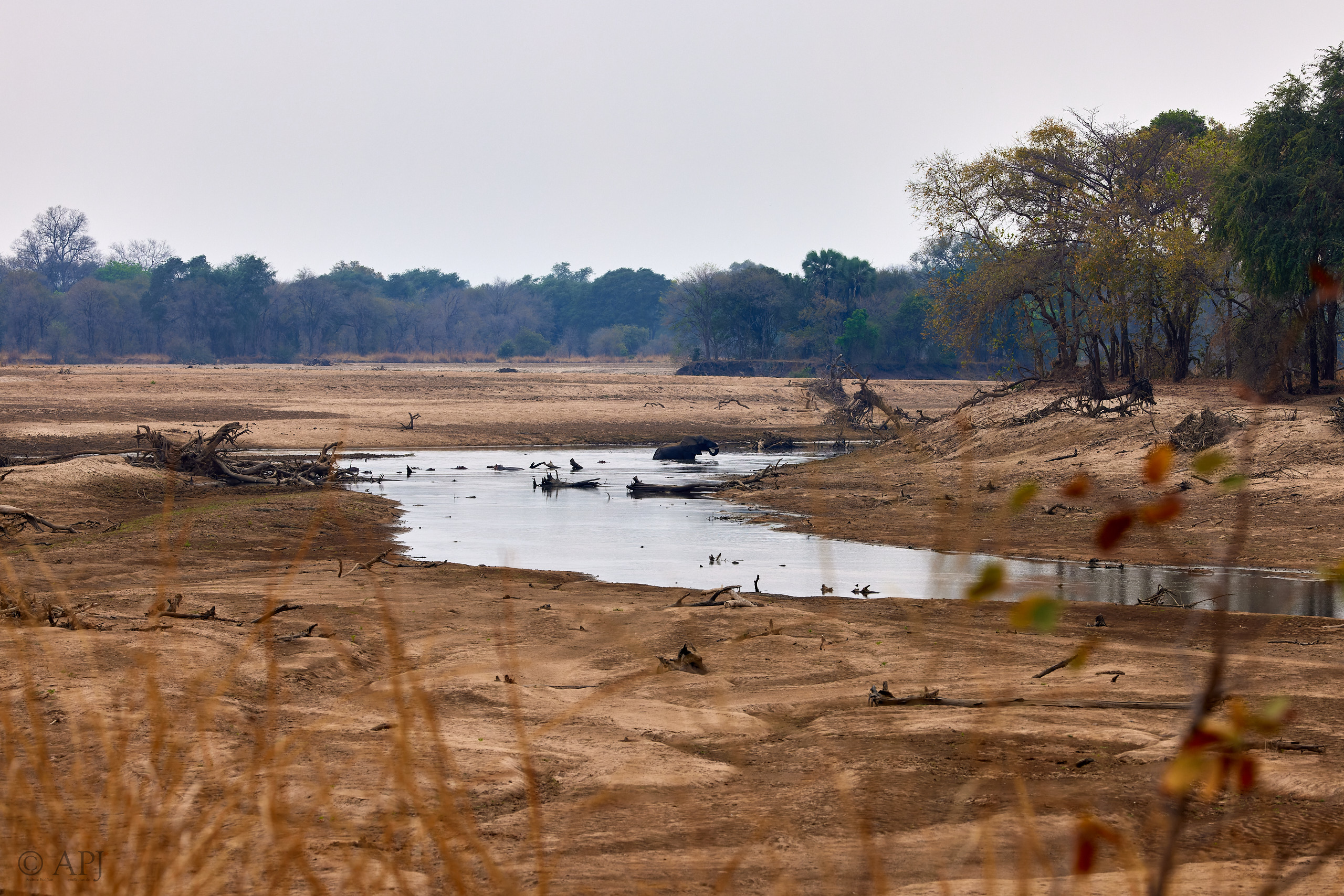 00325 APJ  A7A9553 CR3D