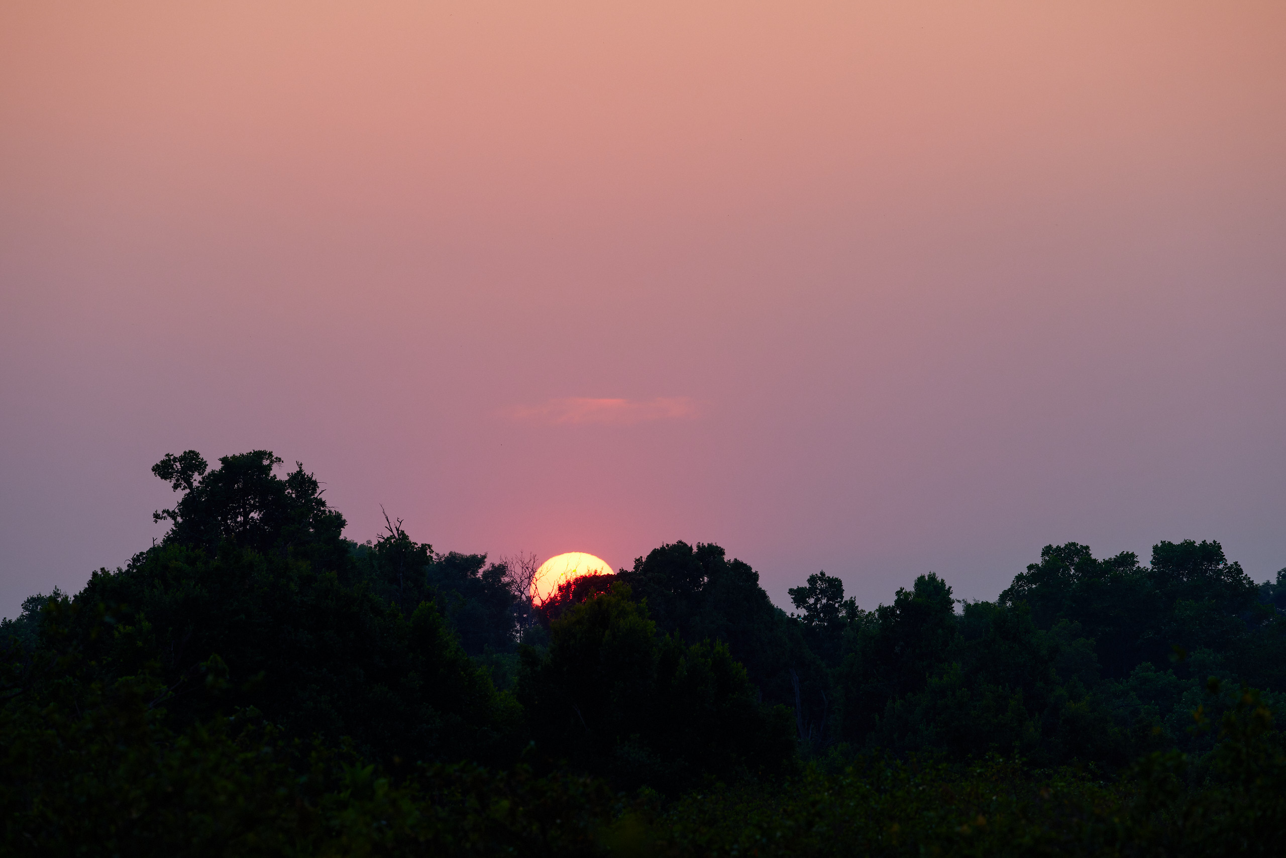 00443 APJ  A7A0639 CR3D