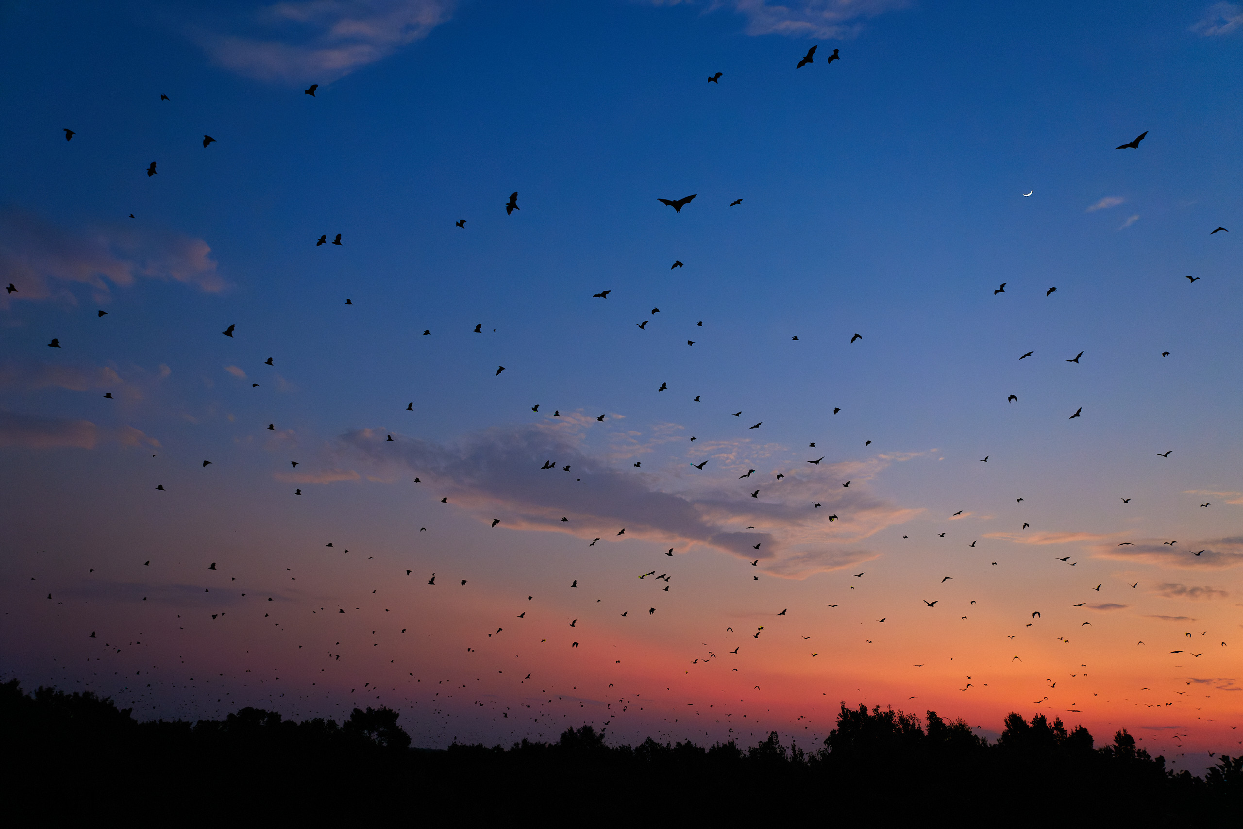 00467 APJ  59A9852 CR3D