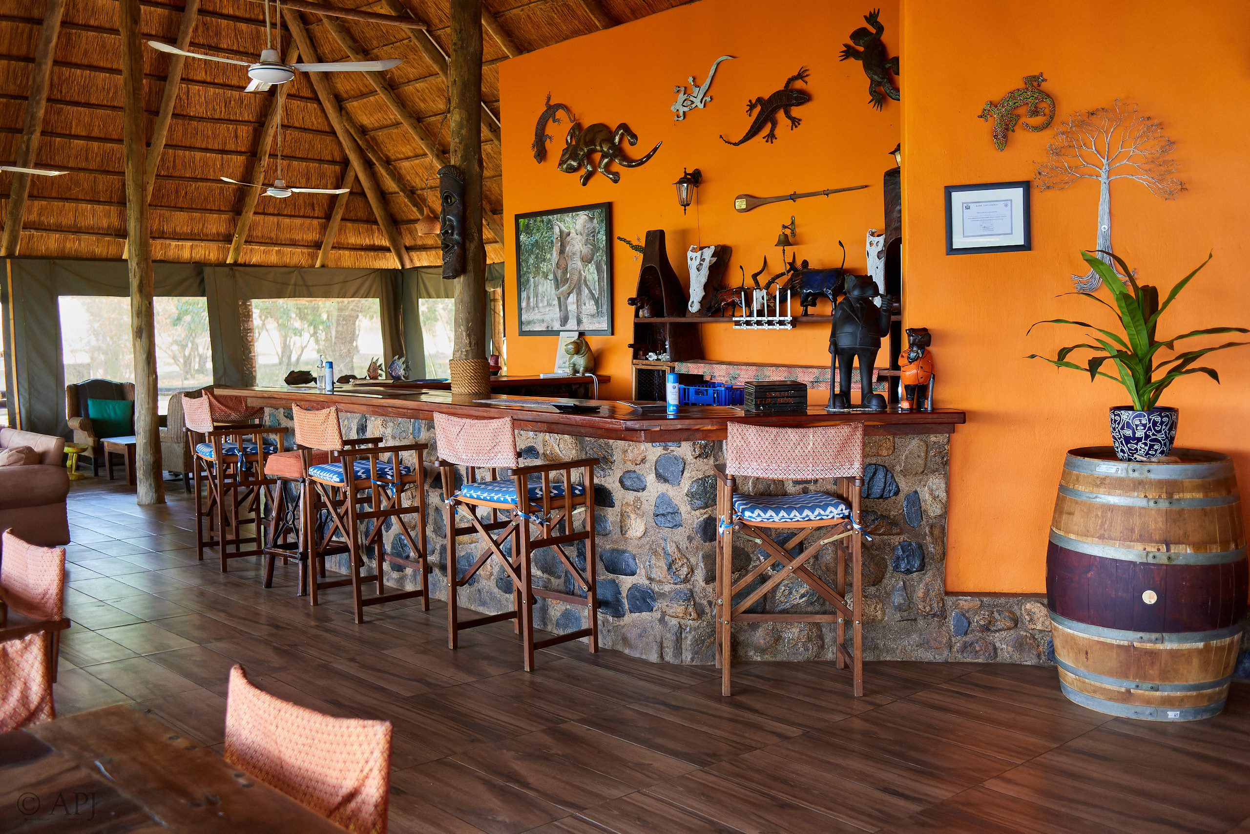 00490 APJ IMG 1536 CR3D