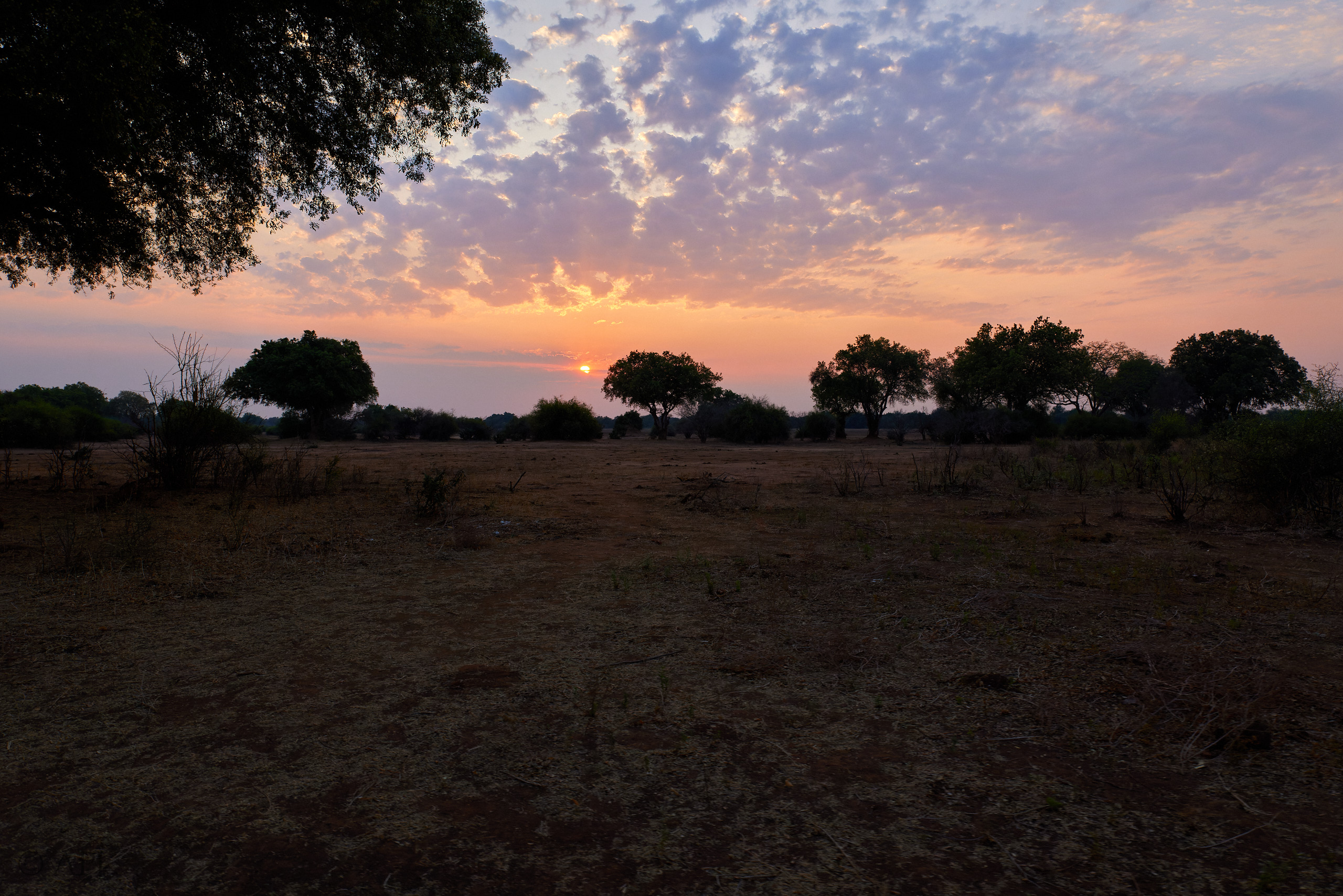 00572 APJ  59A0022 CR3D