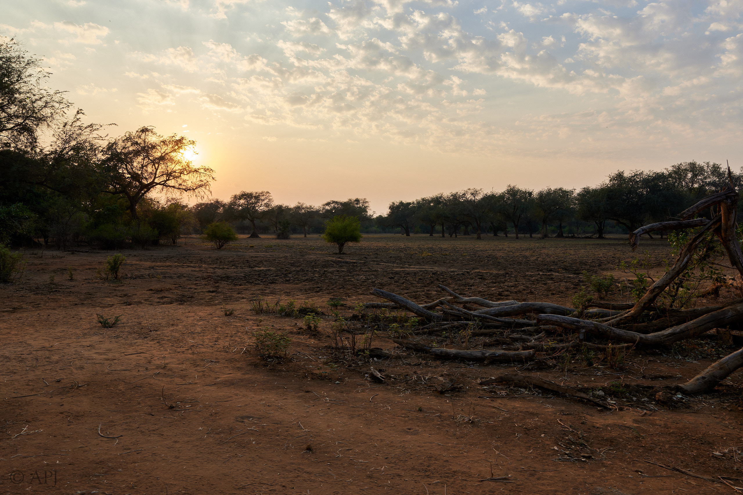 00573 APJ  59A0031 CR3D