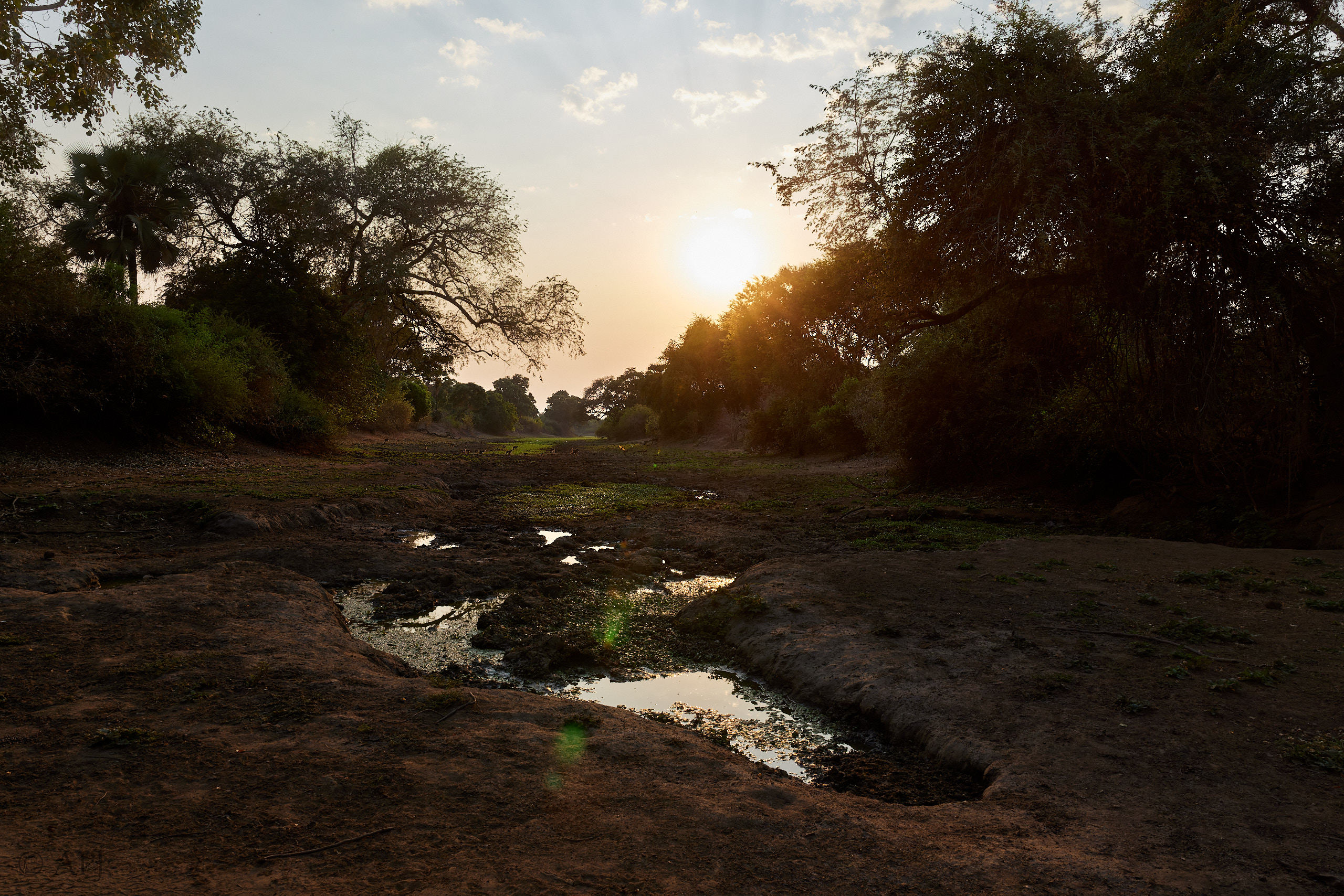 00574 APJ  59A0047 CR3D