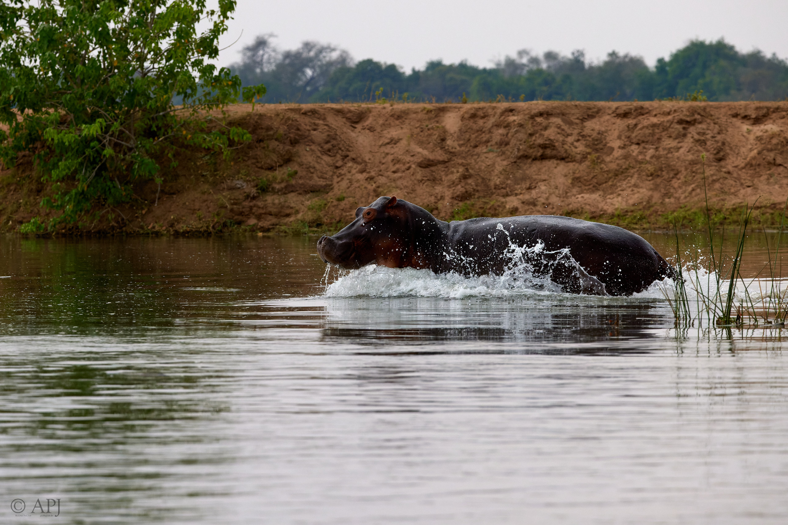 00695 APJ  A7A4050 CR3D