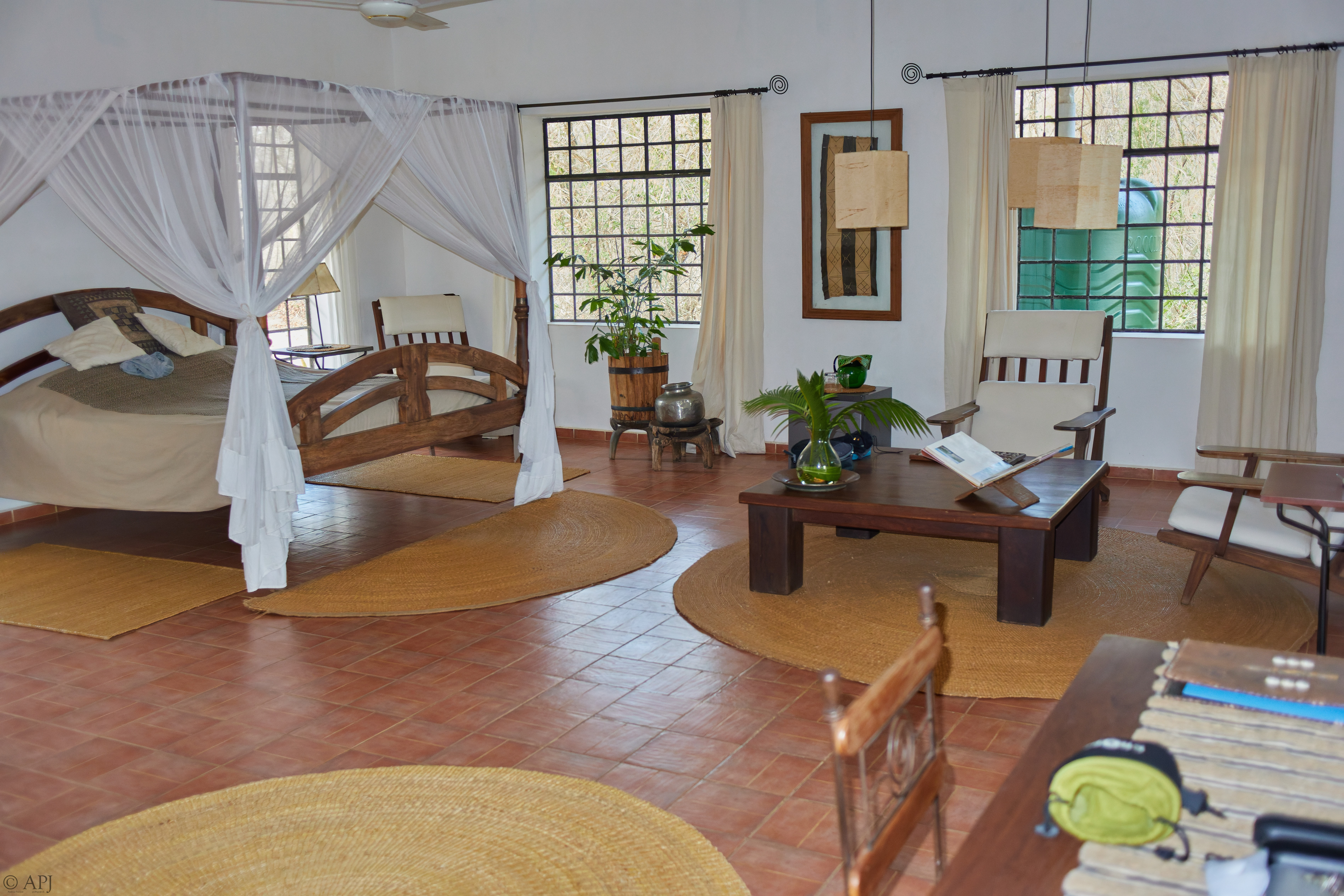 0096 IMG 8201 20251001 DXO