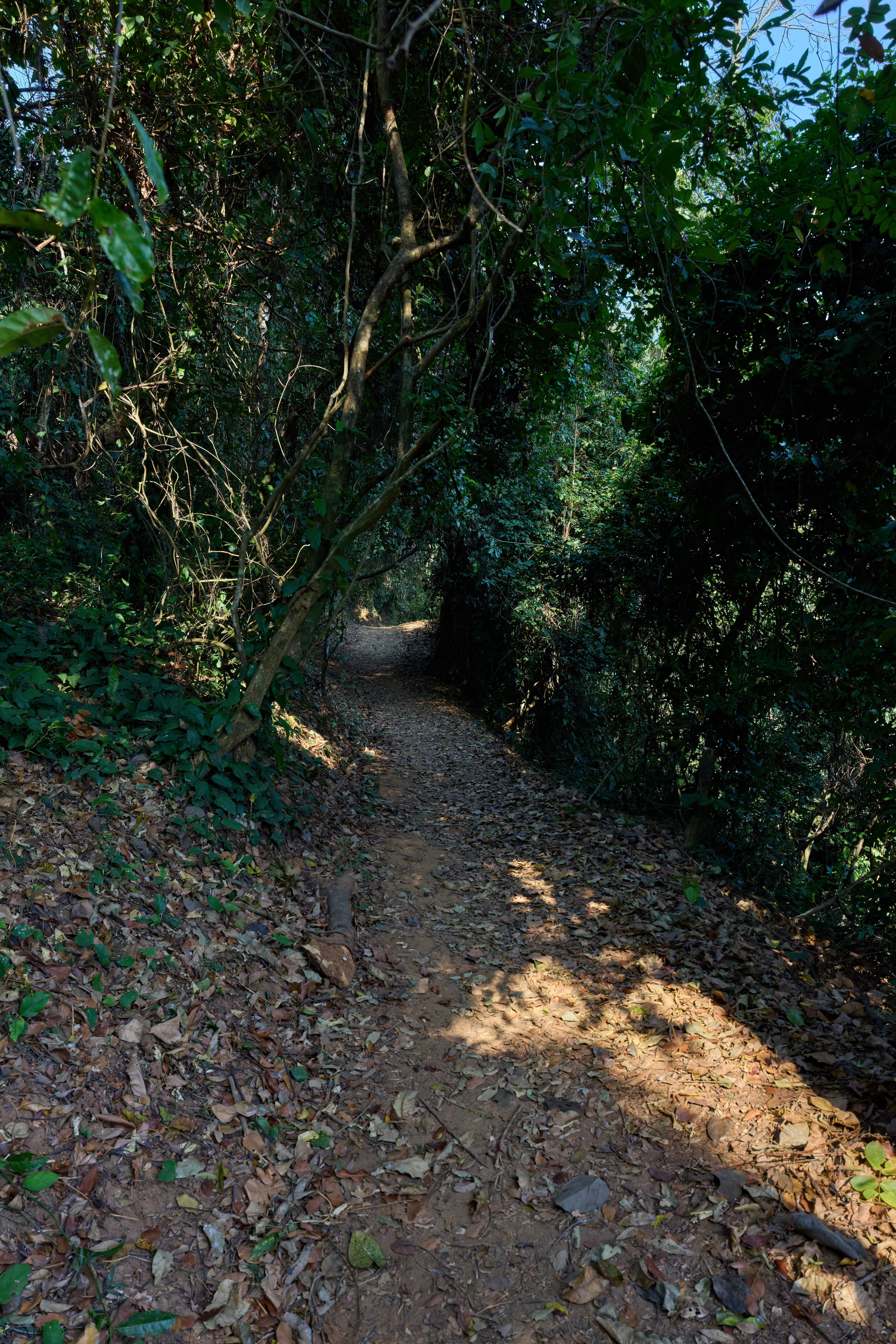 0168 APJ A7A4954 DXO