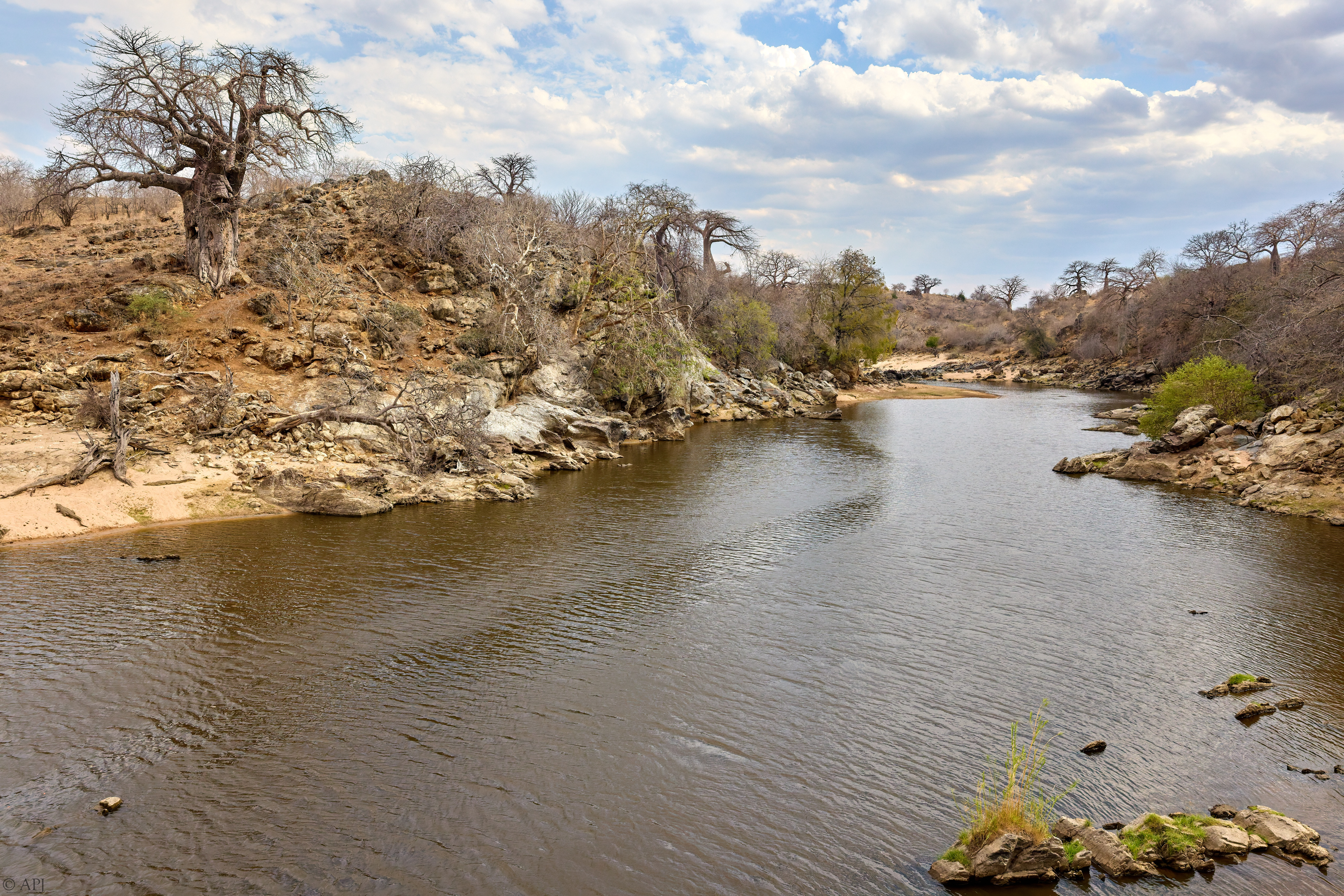 0363 APJ 1381 20251009 DXO