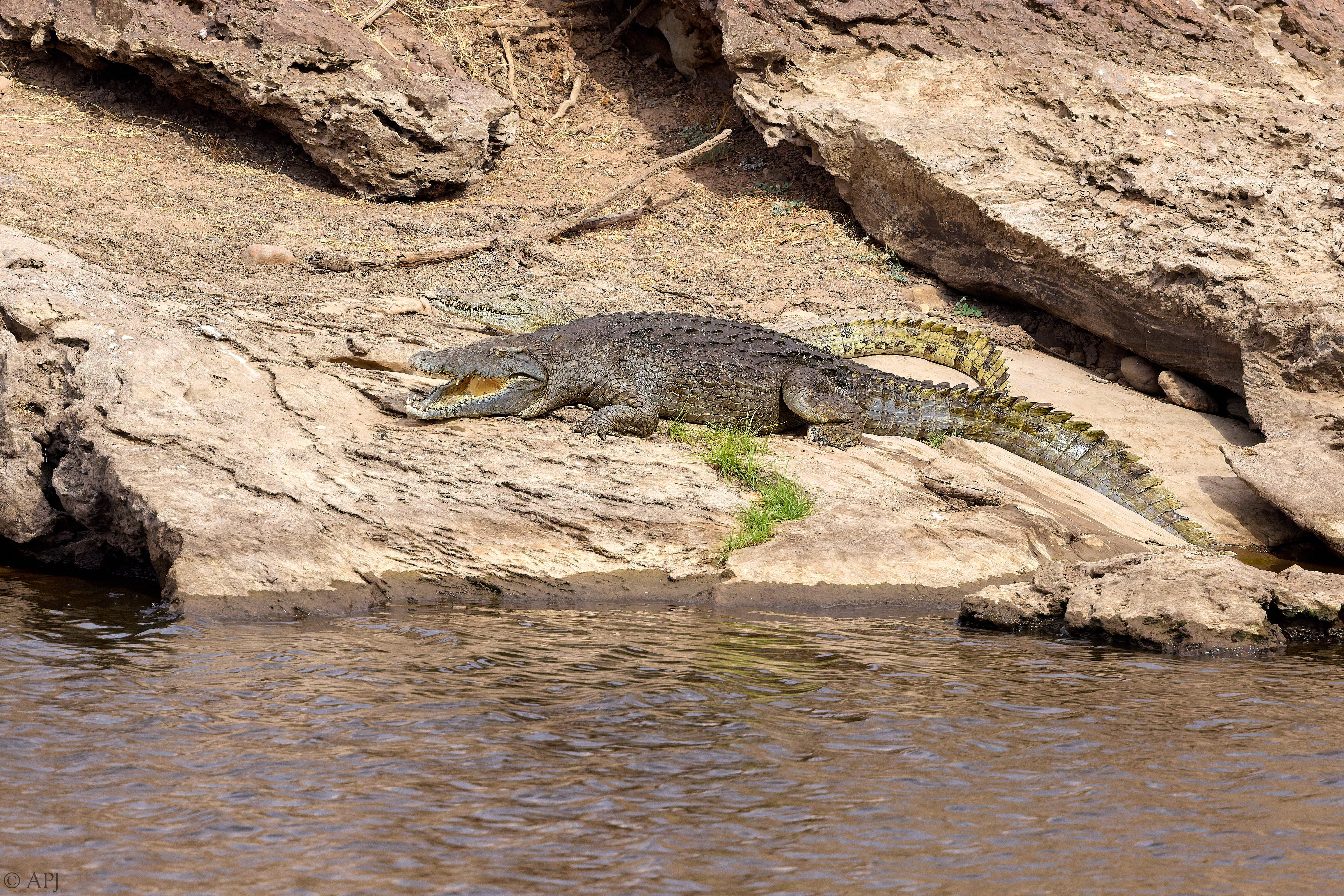 0367 APJ A7A9983 20251009 DXO