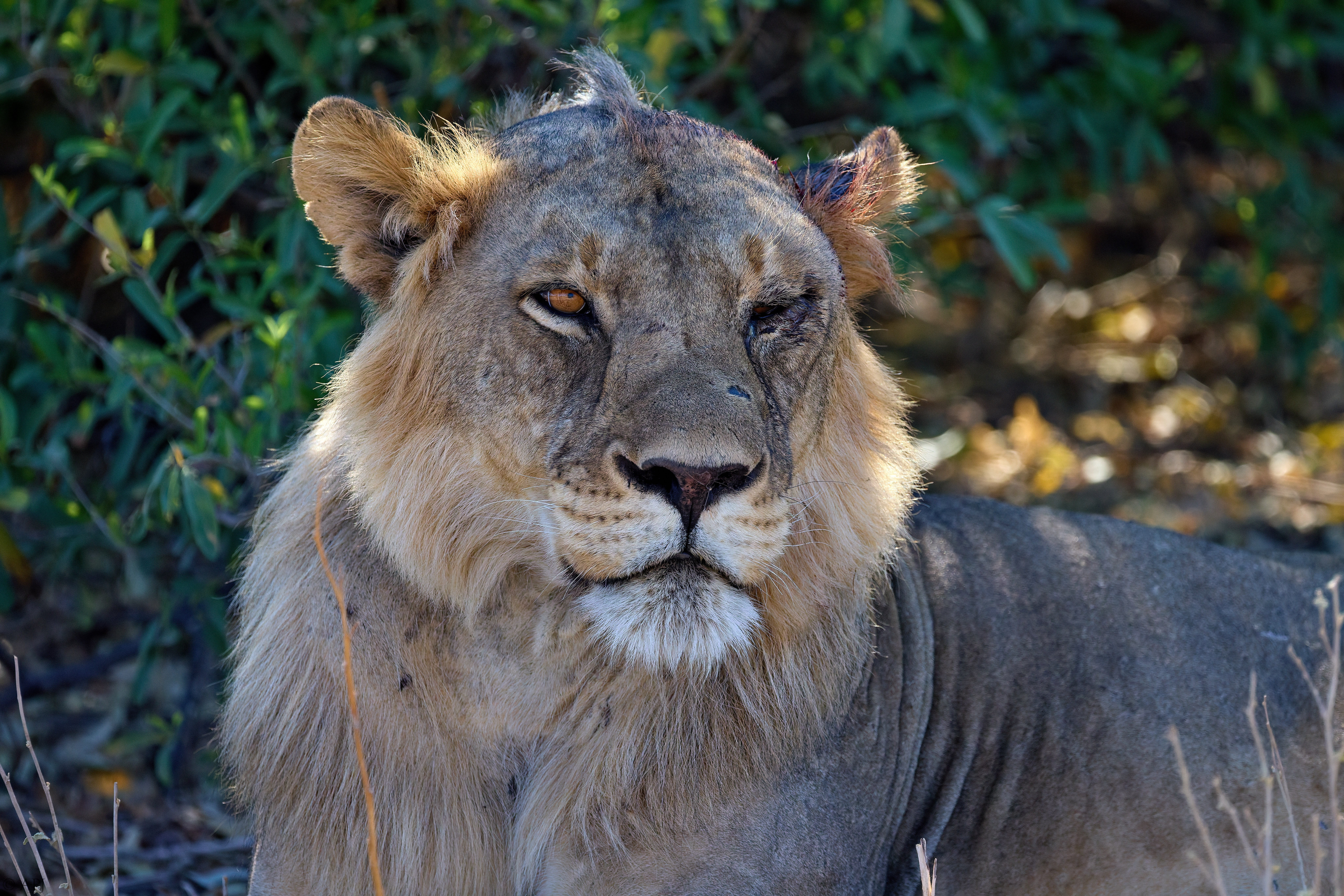 0399 APJ A7A0536 20251010 DXO